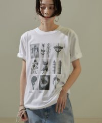 サロン　アダム　エ　ロペ/【WEB限定】【KARL BLOSSFELDT】フォトTシャツ/505939569