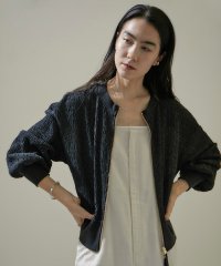 サロン　アダム　エ　ロペ/【WEB限定】シアーノーカラージップブルゾン/24SS【洗える】/505940387