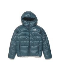 THE NORTH FACE/ALPINE NUPTSE HOODIE (アルパインヌプシフーディ)/505663538