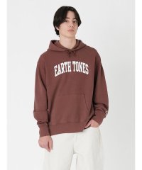 Levi's/オーセンティック グラフィック フーディー レッド EARTH TONES/505872499