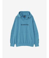 THE NORTH FACE/Trans Antarctica Hoodie (トランスアンタークティカフーディ)/505945636