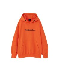 THE NORTH FACE/Trans Antarctica Hoodie (トランスアンタークティカフーディ)/505945636