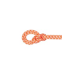 MAMMUT/9.5 CRAG CLASSIC ROPE/505591004