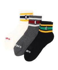 CHUMS/3P BORDER CREW SOCKS (3P ボーダークルー ソックス)/505807877