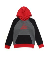 UNDER ARMOUR/UA RIVAL FLEECE SCRIPT COLOR BLOCK HOODIE/505807891