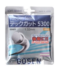 GOSEN/ＴＥＣＧＵＴ　５３００/505622320