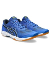 ASICS/ROTE JAPAN LYTE FF 3/505665268