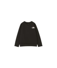 THE NORTH FACE/Tech Air Sweat Crew (テックエアースウェットクルー)/505672512