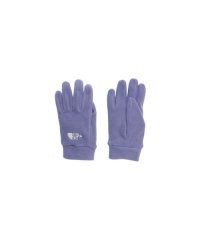 THE NORTH FACE/Kids Micro Fleece Glove (キッズ マイクロフリースグローブ)/505672570