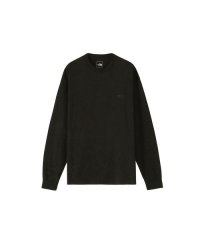 THE NORTH FACE/L/S Rock Steady Tee (ロングスリーブロックステディティー)/505672610