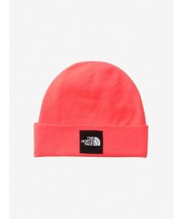 THE NORTH FACE/Snow Neon Beanie (スノーネオンビーニー)/505887741