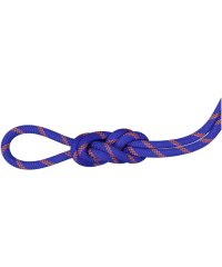 MAMMUT/マムート MAMMUT MAMMUT マムート アウトドア 9．0 Alpine Sender Dry Rope Climbing Gear ／ Mountai/505956908