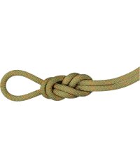 MAMMUT/MAMMUT マムート アウトドア 9．9 Gym Workhorse Classic Rope 2010－04310 201004310/505956921