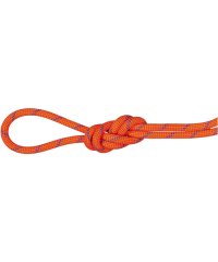 MAMMUT/MAMMUT マムート アウトドア 7．5 Alpine Sender Dry Rope 2010－04330 201004330A 11/505956923