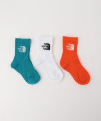 green label relaxing （Kids）/＜THE NORTH FACE＞ジャカード ロゴ 3P クルー ソックス（キッズ）16cm－21cm/505941088