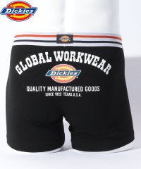 Dickies/Dickies Global Workwear logo/505938484