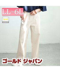 GOLD JAPAN/大きいサイズ レディース ビッグサイズ ストレッチツイルワイドパンツ/505972554