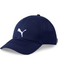 PUMA/PUMA プーマ トレーニング メッシュ キャップ 023708 02/505973888