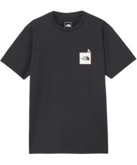 THE NORTH FACE/THE　NORTH　FACE ノースフェイス アウトドア ショートスリーブアクティブマンティー /505976264