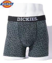 Dickies/Dickies Leopard/505938480