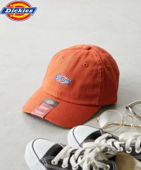 Dickies/Dickies EX ICON LOWCAP/505938489