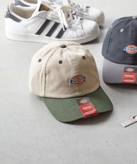 Dickies/Dickies EX ICON TWO TONE LOWCAP/505938491