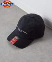 Dickies/Dickies EX TEXAS LOWCAP/505938498