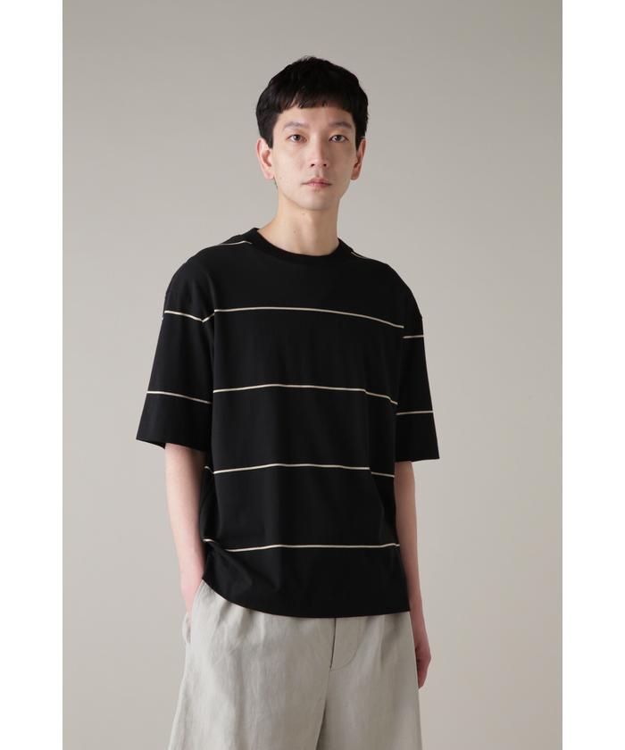 5月上旬－下旬 SPACED STRIPE COTTON JERSEY(505979860