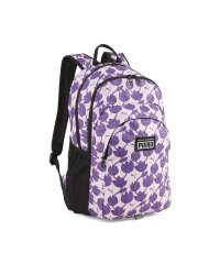 PUMA/ユニセックス プーマ アカデミー バックパック 25L/505430742