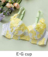 fran de lingerie/ボディメイクの真骨頂ゴージャス薔薇刺繍 「グレースイストグランデ ブラジャー（ワイヤー有り）」 ブラジャー/505400029