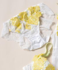 fran de lingerie/ゴージャス薔薇刺繍美しさも、機能も 「グレースイストグランデ バックレース」 バックレースショーツ/505400034