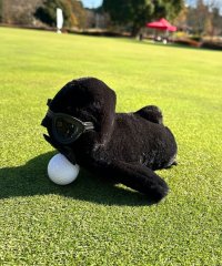 Munsingwear/【WEB限定】黒いペンギンアクセサリーホルダー/505966806