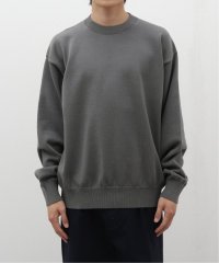 JOURNAL STANDARD/【米富繊維 / Yonetomi】SEA ISLAND COTTON KNIT CREW/506004617