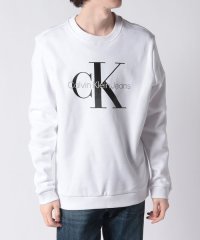 Calvin Klein/【Calvin Klein / カルバンクライン】トップス トレーナー スウェット ロゴ 長袖 クルーネック ミディアム丈 プレゼント プリント 40GC200/505985986