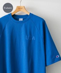 URBAN RESEARCH DOORS/【予約】『別注』Champion×DOORS　RAGLAN USA T－Shirts/506009687