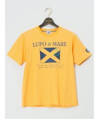 GRAND-BACK/グランバック GRAND－BACK 【大きいサイズ】シナコバ/SINA COVA 綿プリント クルーネック半袖Tシャツ メンズ Tシャツ カットソー カジュアル/506013439