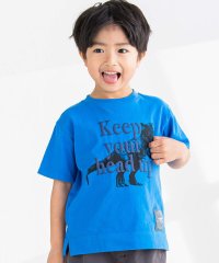 BeBe Petits Pois Vert/リアル恐竜ロゴプリント半袖Tシャツ(95~150cm)/506015105