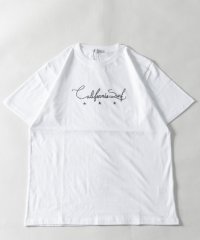 Nylaus/レギュラーフィット ロゴ アソートプリント ショートスリーブTシャツ 半袖Tシャツ/506015409