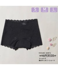 palissee collection/パリーゼ Palissee フェムケア吸水サニタリーショーツ（ボクサーシームレスレースタイプ）【返品不可商品】/506007100
