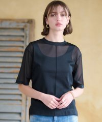 DRESSTERIOR/シアーTシャツ/506017184