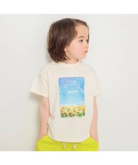 BRANSHES/フォトコラージュ半袖Tシャツ/505985391