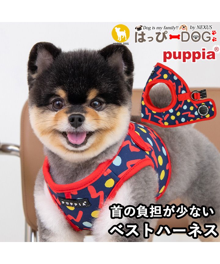 えり付き首輪(花柄 ネイビー) COLLAR（首輪）／マルチカラー：Toto & Pal（トトアンドパル
