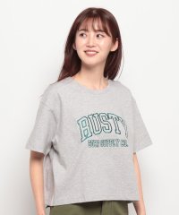 RUSTY/【RUSTY】LADYSハンソデ Tシャツ/506009434