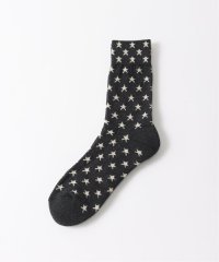 JOINT WORKS/【ROSTER SOX/ロスターソックス】 CAL/506033990