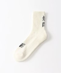 JOINT WORKS/【ROSTER SOX/ロスターソックス】  SHOCHU/506033994