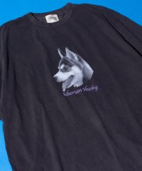 GLOSTER/【新柄追加】【GLOSTER/グロスター】DOG&CAT 犬猫プリント ピグメント プリントTシャツ/506031463