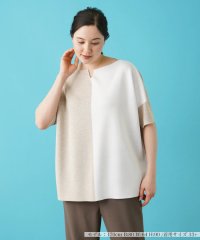 Leilian PLUS HOUSE/カラーブロッキングニットプルオーバー【LE TRICOT PERUGIA】/505968536