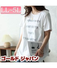 GOLD JAPAN/大きいサイズ レディース ビッグサイズ シャドーロゴチュニックTシャツ/506048773