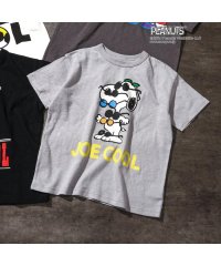 BREEZE/PEANUTS【JOE COOL】バリエーションTシャツ/505782383