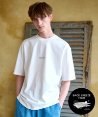 DRESSTERIOR/【接触冷感／UVカット】【Safari5月号掲載】BACK BREEZE TECH ロゴTシャツ/505985054